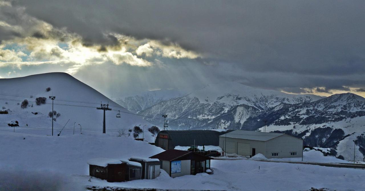 Alpestrine - Vista Gudauri - Apartment N27 Екстериор снимка